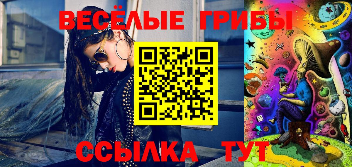 Псилоцибиновые грибы мицелий Кохма