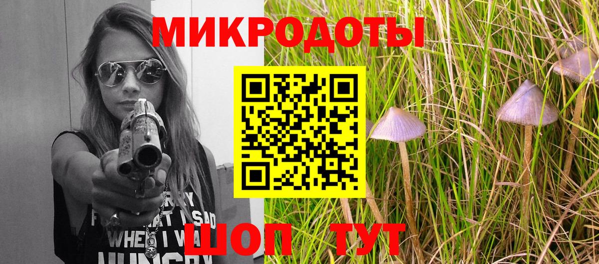 Кохма  купить  сайты  Вход с VPN  Галлюциногенные грибы Cubensis 